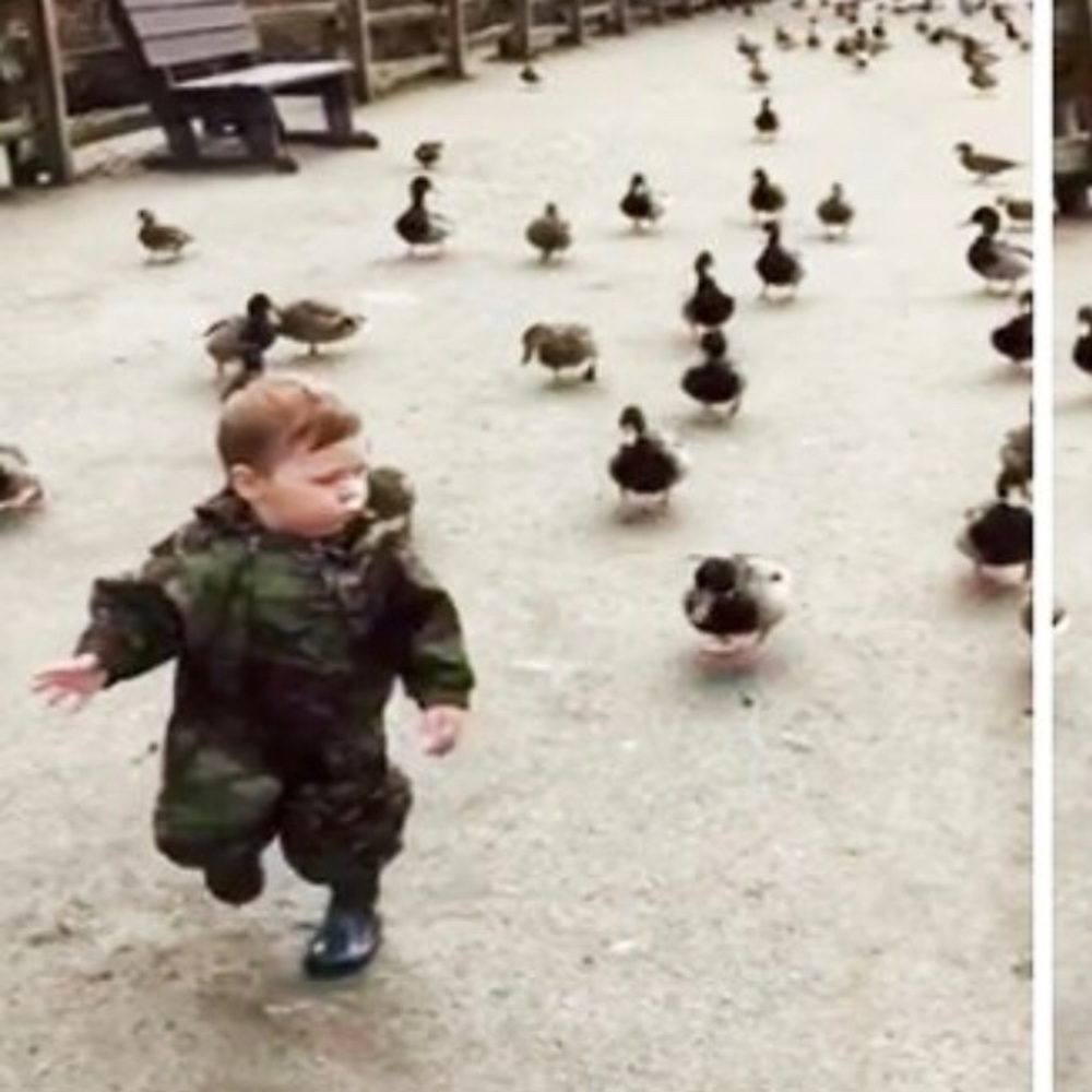 FOLLOW GAME 🦆🌈♥️ - Picture 3 of 3
